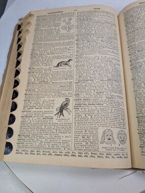 Vintage 1946 Webster's Dictionary Aged Ephemera for Junk Journals & Mixed Media